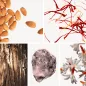 Preview: Duftnoten: Madeln, Safran, Zedernholz, Jasmin, (Ambroxan) Ambra
